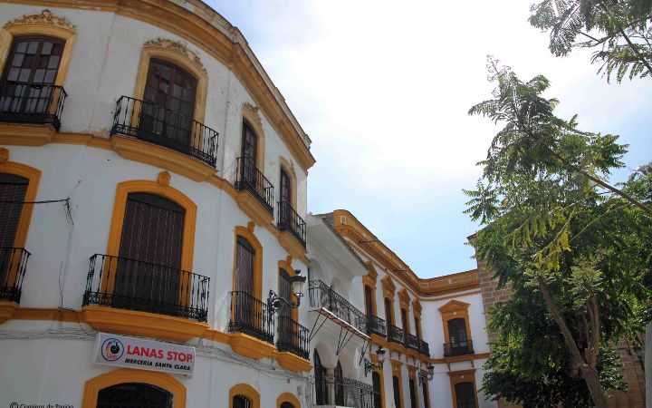 Plaza del Ayuntamiento (4)