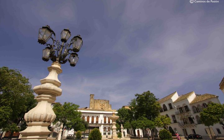 Plaza del Ayuntamiento (8)