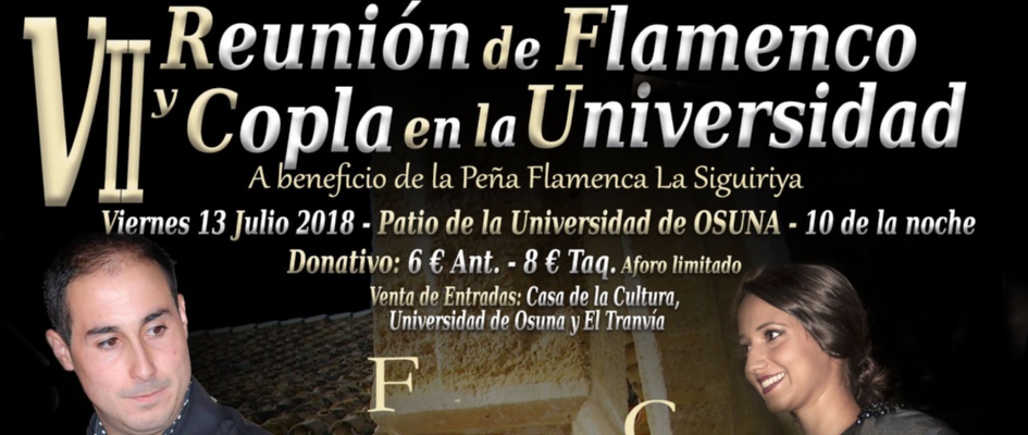 reunion flamenco y copla web