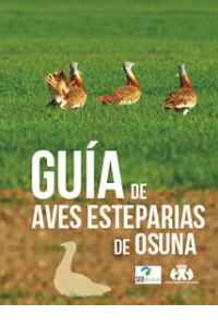 guaiaves2