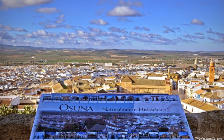 MIRADOR DE LA COLEGIATA