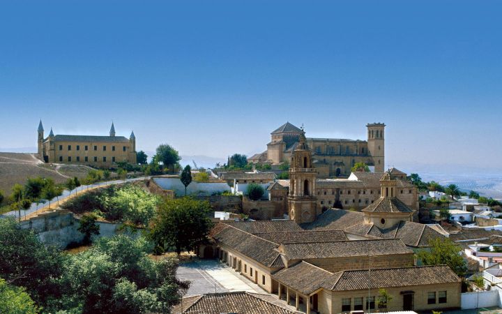 PANORÁMICA OSUNA CON MONUMENTOS