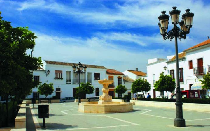 PLAZA DEL DUQUE7459