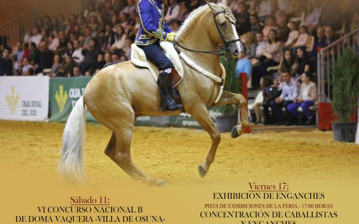 EXHIBICIONES ECUESTRES