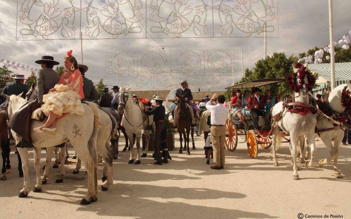 Feria de Osuna (112)