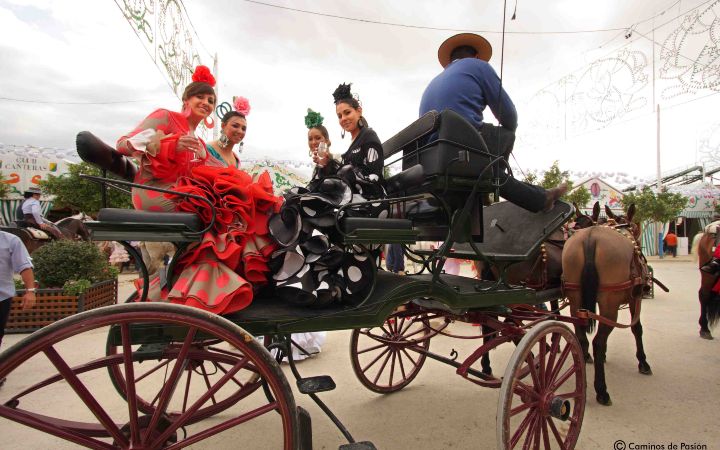 Feria de Osuna (119)