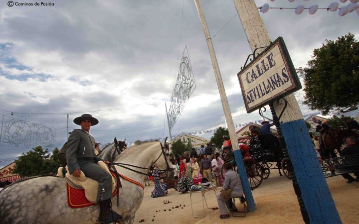 Feria de Osuna (121)