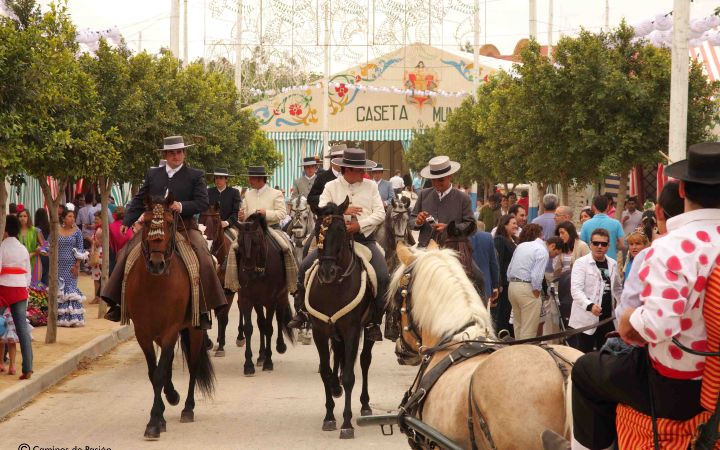 Feria de Osuna (129)