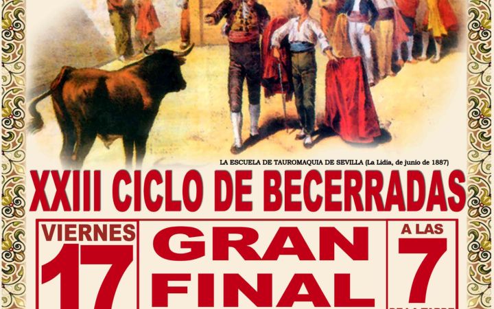 NOVILLADA 2019 FERIA PRUEBA