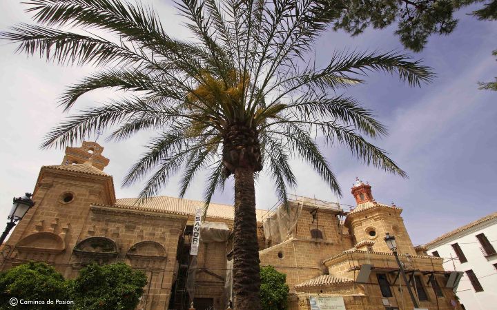 Iglesia de Santo Domingo (6)