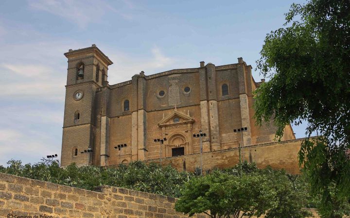 La Colegiata-Fachada (1)