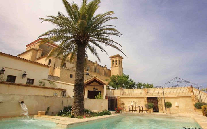 La Colegiata-Fachada (13)