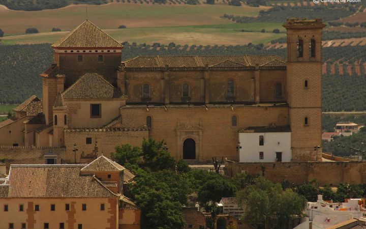 La Colegiata-Fachada (14)