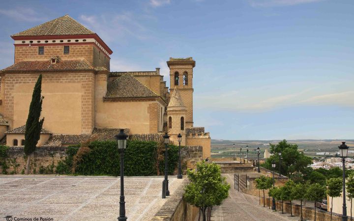 La Colegiata-Fachada (3)