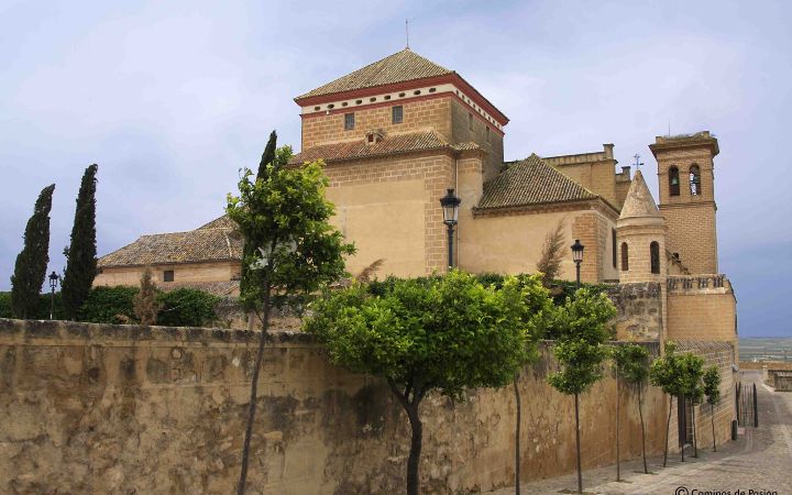 La Colegiata-Fachada (4)