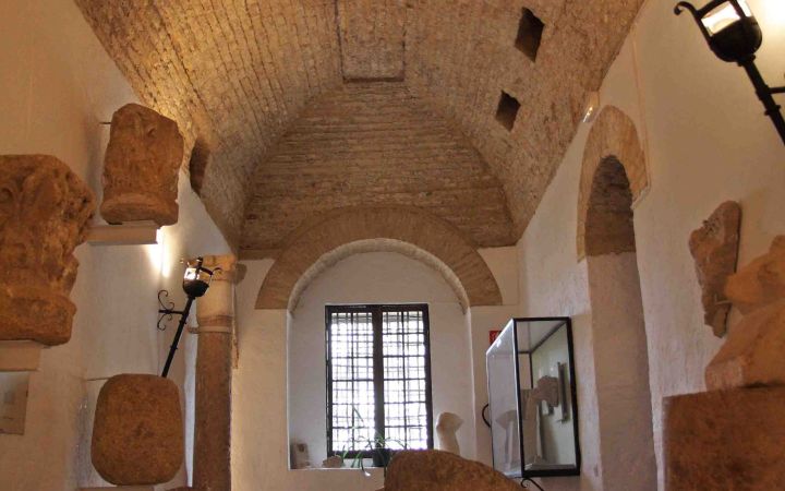 Museo Arqueológico (10)