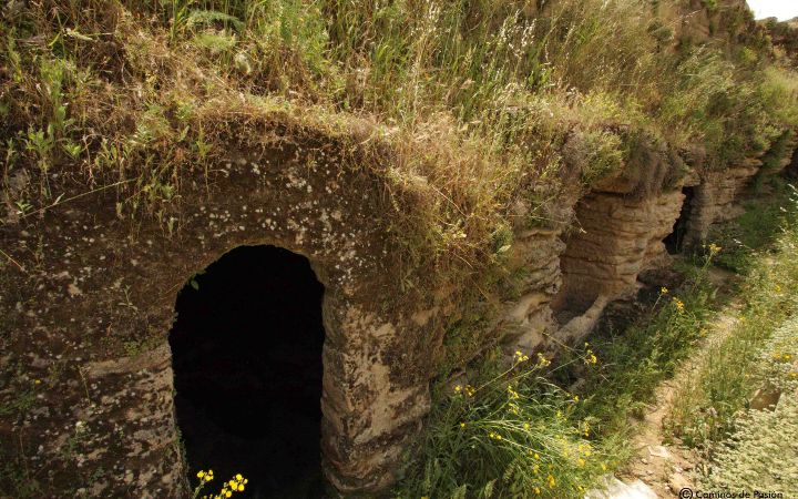 Necrópolis romana (16)