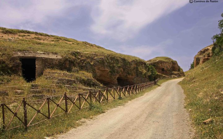 Necrópolis romana (19)