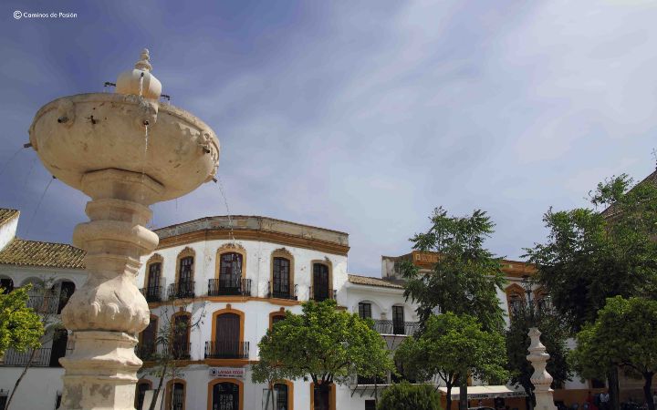 Plaza del Ayuntamiento (2)