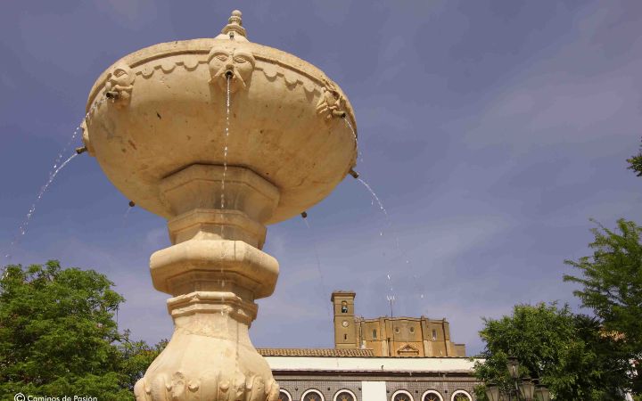 Plaza del Ayuntamiento (9)