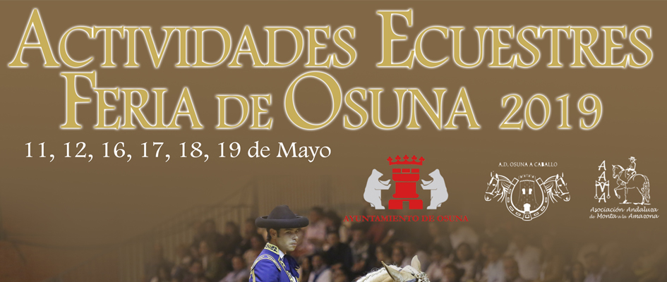 Activiades ecuestres