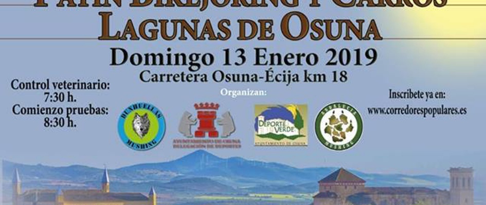 CARTEL CANICROSS web