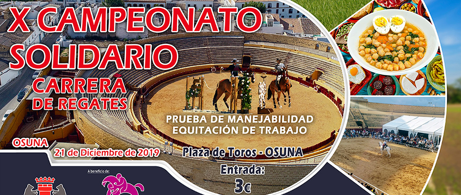 CARTEL GALGOS SOLIDARIOS web