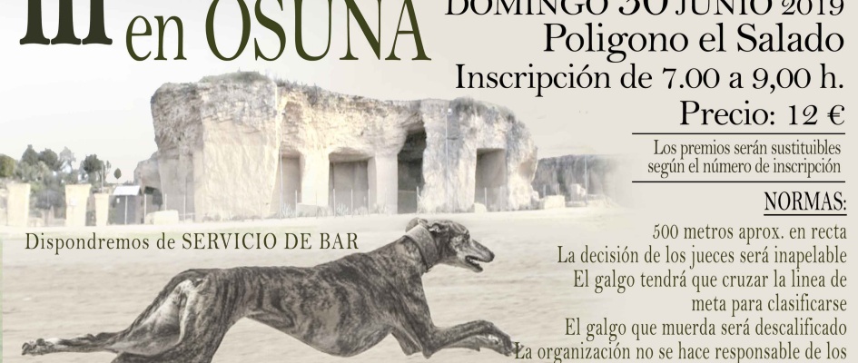 CARTEL III CARRERA DE GALGOS web