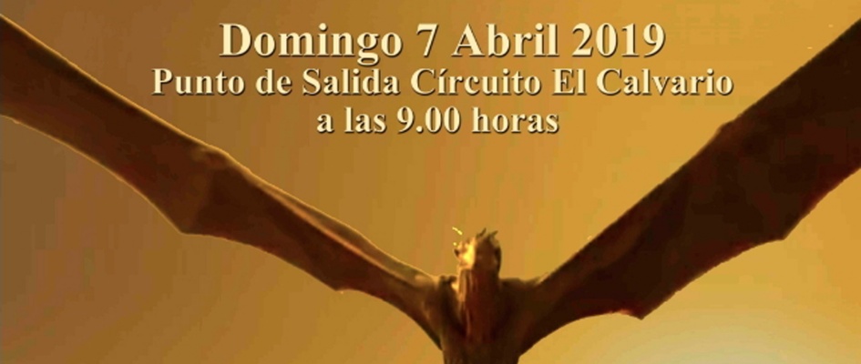 CARTEL SENDERISMO TRAIL WEB