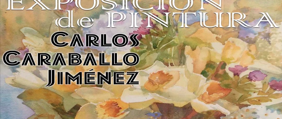 CARTEL exposicion carlos caraballo MUSEO MAYO WEB