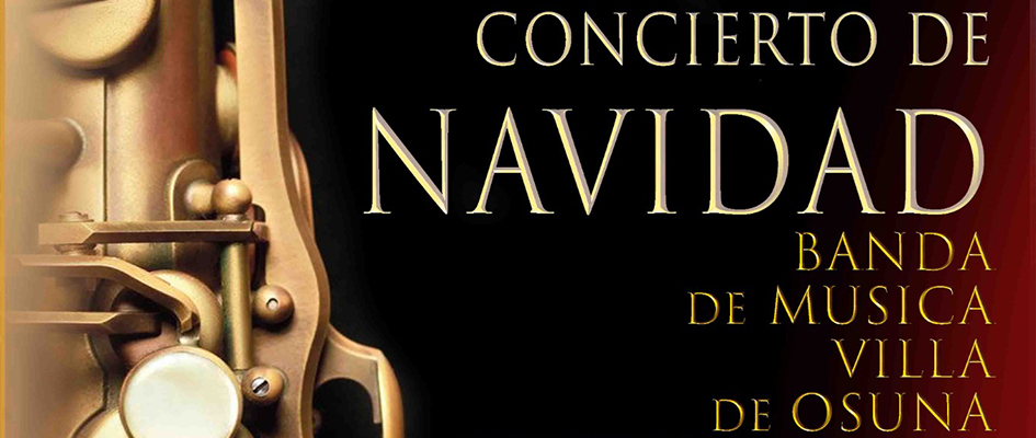 Concierto de navidad banda web