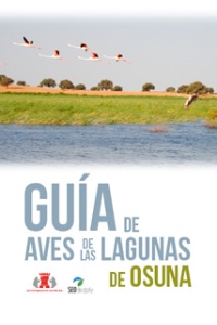 guiaaves