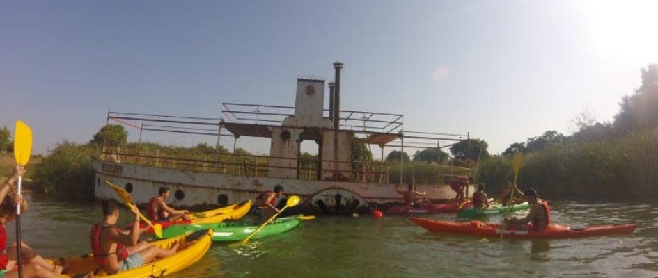 DIA INTERNACIONAL DE LA JUVENTUD