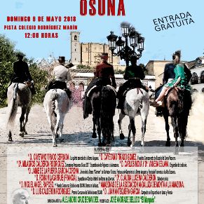 AL SON DE LOS CABALLOS ANDALUCES