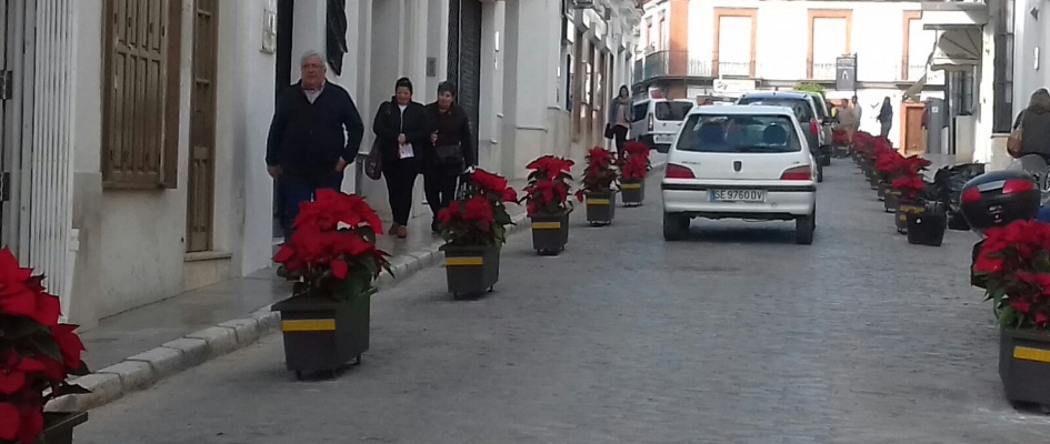 Plan dinamizacion maceteros Carrera