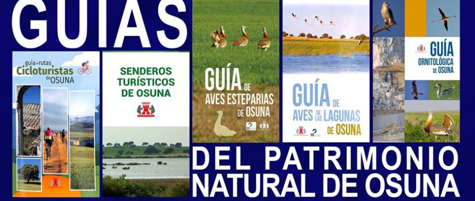 CARTEL PRESENTACIÓN GUIAS enfitur