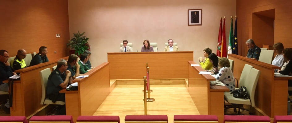 COMISIÓN VIOLENCIA GÉNERO