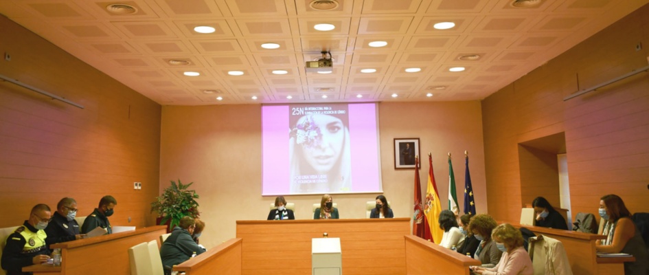 COMISIONVIOLENCIAGENERO2021