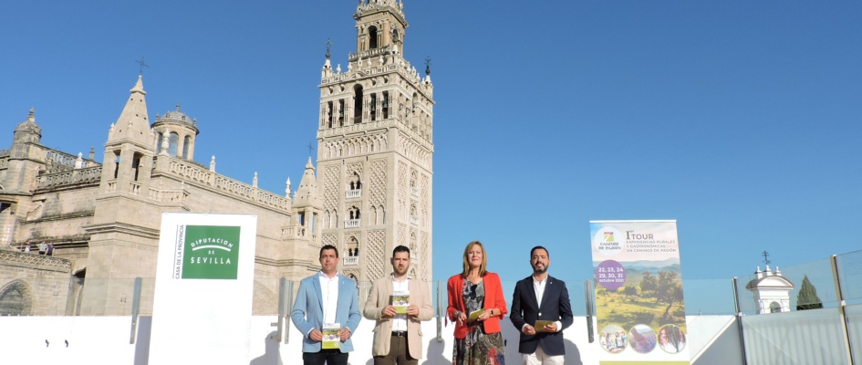 DSCN8677caminospasion