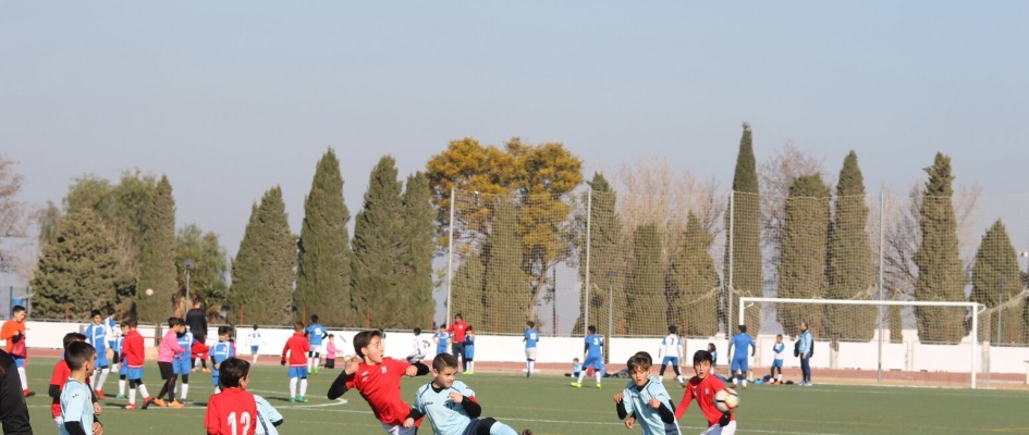 ESCUELAS DEPORTIVAS MUNICIPALES