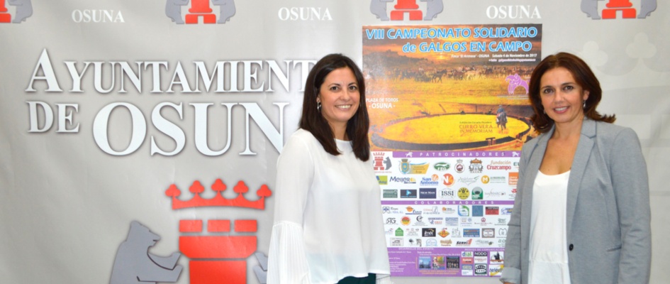 VIII CAMPEONATO GALGOS SOLIDARIO