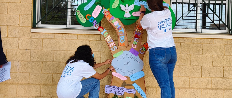 Fin Sembrando Valores