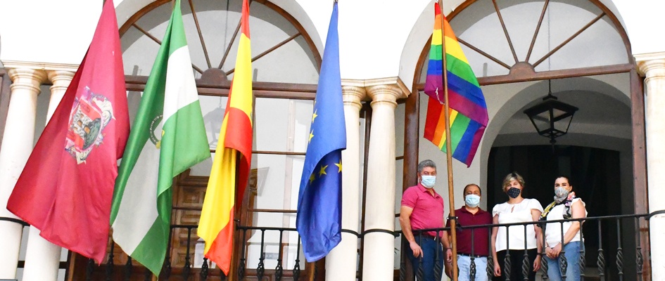 IZADA BANDERA ORGULLO GAY web