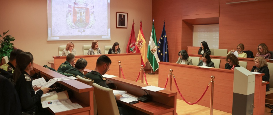 NP SE REUNE LA COMISIÓN LOCAL DE SEGUIMIENTO Y COORDINACIÓN PARA LA ATENCIÓN A VÍCTIMAS DE VIOLENCIA DE GÉNERO