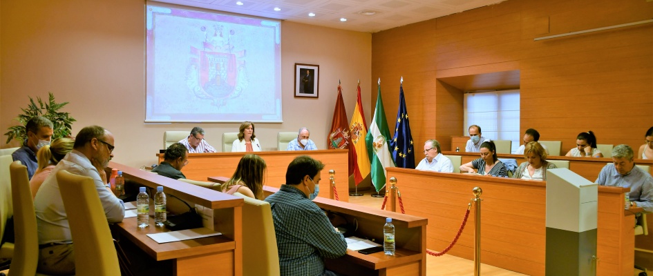 PLENO APROBACION PROYECTO ARROYO SALADO