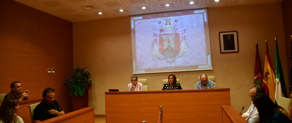 Pleno Organizacion y Funcionamiento